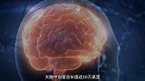 大脑就像一个小宇宙，宇宙像一个超级大脑