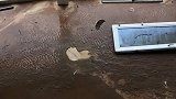 这就是昨天京基喜来登被海水冲破的门，看来应急抢修是成功的。