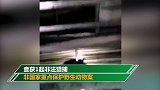 云南一村民违法猎获2只果子狸 在家中驯养1年多