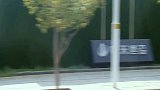 搞笑：男子强吻路边美女，最后被美女一脚踹到树上