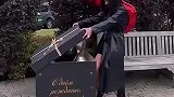 这个笨女人，好像不太聪明的样子