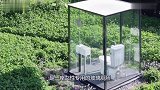 “脑洞大开”的实验花千万打造全透明厕所，只针对女性开放