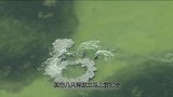 海底出现“神秘怪圈”，直到20年后，科学家终于揭开真相