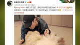 张艺兴倒立逗狗超努力亲密陪伴令粉丝大呼好羡慕