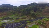 此山贵气十足，青龙白虎环抱，大富大贵的风水宝地