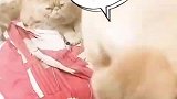 旺财治病花了八斤排骨钱，猫：吃排骨不香啊，狗：你以为我想啊