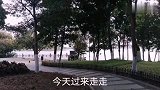 游广州海珠湖，闹市中心占地面积最大的湿地公园，休闲的好去处