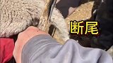 男子奇葩的操作