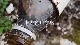 蚂蟥吸附在管道上，不仔细看还真看不出来