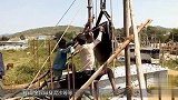 老外用纸造房子 不用打地基完全用胶水拼接 房屋可随意移动
