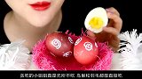 小姐姐真是无所不吃，鸟巢和羽毛都敢直接吃，真不怕扎嘴吗？