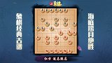 《JJ象棋大师名局》第70期 海底捞月