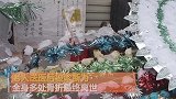老人路上“晕倒”重伤不治离世 家属开棺验尸大吃一惊