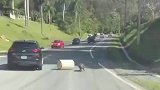 小猪帮忙把障碍物推向路边