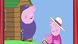 小猪佩奇过大年：猪爷爷的遥控飞机刚飞起来，就掉在了地上