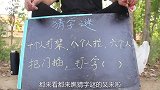 骗子摆摊猜字谜，来一美女智商超赞，成功把骗子套路惨了！