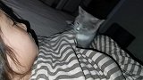 抓住干坏事的猫，该怎么收拾它