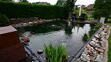 鱼友家的庭院，大肥锦鲤正在嬉戏打闹，看得我非常心动！