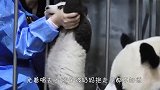 这应该是最靠谱的熊妈了吧，画面太有爱了，差点被暖哭