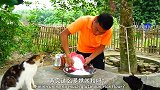 温暖冬至，农村小伙做了一大锅特色美食，爸爸妈妈连吃4大碗