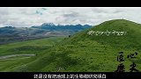 老农捡了块石头，上面长满白发，专家让他快报警