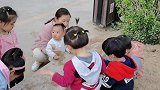 小孔宝是太愿意玩土了，一看见有土赶紧跑过来，围满了哥哥姐姐们
