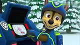 汪汪队：阿奇在拯救天天呢，可是找不到天天呀，天天失踪了