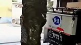 网购须谨慎，果真是砂糖馅的橘子