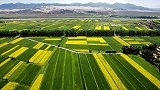 全球8.67亿亩，澳大利亚转型，中国有机农业为何走不上正轨？