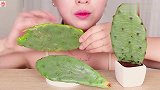 小姐姐体验可食用仙人掌，看起来嚼劲十足呀
