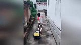 只要考100分走路都带风，笑岔气了