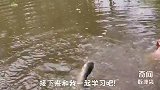 印度人用一个瓶子就能钓鱼，这方法简单，赶紧学起来吧！