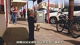 一只可爱的考拉在大街上散步，当与小男孩相遇，考拉竟停下了脚步