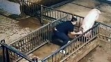 不知道因为啥事，跟猪干起来了
