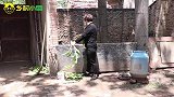 媒人又来家里催下帖结婚的事，他到底说了啥？把小雪给说哭了