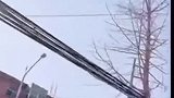 小猫被困空中，即将坠落万分危险之际幸好消防员赶到！