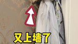 这孩子叛逆期到的有点早啊
