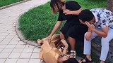 咦，这个雕像怎么倒地上了？