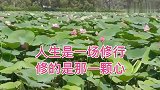 人生是一场修行，修的是那一颗心 在经历中成长，在磨难中坚强