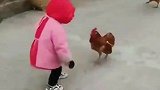 你小时候被小鸡追过吗