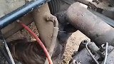 这狗就爱用嘴巴堵车的排气管