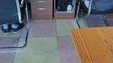 我们的行政总监兼招财猫，上班就算再困也要坚守岗位一动不动