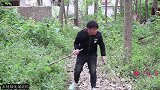 王二蛋怂恿非凡和欢欢打架，结果王二蛋反被打一顿，真搞笑！