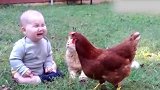 小萌宝在草地上玩耍，突然被一只鸡给欺负了，真逗