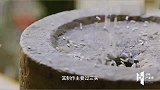 作为武汉早点界“贵族”，三鲜豆皮用料到底有多讲究？