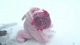 宝宝趴在地上吃雪，这冰爽停不下来，萌翻了