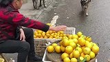 狗子每天路过大妈摊子，都要顺走一个橘子的搞笑操作！