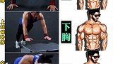 胸肌的全方位训练方法，坚持训练，练出完美胸肌。