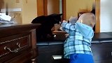 宝宝抓猫咪，猫咪不让抓，小宝宝的动作好可爱！