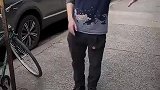 温情洋蚂蚁的视频